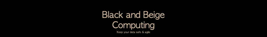  Black and Beige Computing Keep your data safe & agile